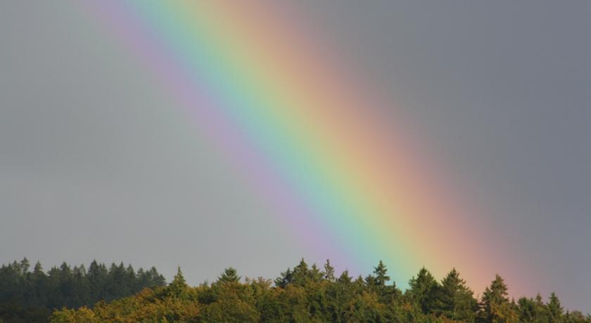 FeWo Harz Haennig 1 Wieda Zimmer foto